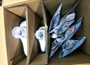 威露士清可新洗衣液柠檬12.18斤(2L+1L+袋500mlx6+内衣净90ml)新旧随机 实拍图