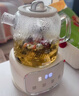 苏泊尔（SUPOR）全玻璃养生壶煮茶壶1L迷你养生杯煮茶器花茶壶 恒温水壶保温烧水调奶器带滤网0胶水SW-10Y03Q 实拍图