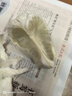 京鲜生云南西双版纳傣柚2粒装 单果2斤+ 中大果 生鲜水果 源头直发包邮 实拍图