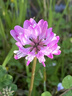 维达（Vinda）有芯卷纸 蓝色经典4层200克*27卷 山茶花香 卫生纸卷筒纸纸巾整箱 实拍图
