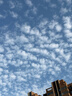 Apple/苹果【点击“立即领取”享补贴】iPhone 17 Pro 256GB 银色 支持移动联通电信5G 双卡双待手机 实拍图