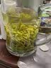 中婺春雨茶叶绿茶浙江茗茶白茶2026新茶嫩芽春茶手采茶叶中秋送长辈礼500g 实拍图