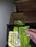 统一 汤达人 日式豚骨拉面 袋装 泡面 方便面 125g*18袋/箱 整箱批发 实拍图