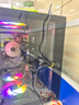微星品牌游戏主机 酷睿i5 12600KF/14600KF/RTX4060/5060/5060TI海景房主机DIY台式电脑整机组装电脑 配二14代酷睿I5 14400F 丨RTX4060 实拍图