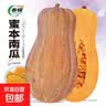 春蝶蔬菜种子四季播盆栽阳台庭院黄瓜豆角番茄甜瓜易种籽孑大全 长绿苦瓜【1包约10粒】 一包(试种贵在快递费) 实拍图