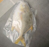 翔泰海南大规格金鲳鱼550g1条海鱼生鲜鱼类火锅 海鲜水产 实拍图