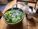 HASE陶瓷鱼缸过滤器陶瓷缸过滤桶金鱼缸圆形鱼缸过滤器外置 Y-50过滤桶（直径50CM以内缸） 实拍图