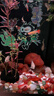 创宁鱼缸过滤材料3D益菌屋1斤装 陶瓷环细菌屋净水纳米石英球养鱼 实拍图