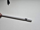 Apple/苹果 Pencil(USB-C) 磁吸触控笔手写笔苹果笔电容笔iPad笔 适用iPad 11/mini/Pro/Air 实拍图