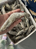 万景国产大虾 盐冻北海白虾(大号) 80-100只净重4斤 聚餐 海鲜端午 实拍图