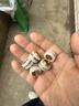 沐唯（muvi）水龙头角阀免生料带黄铜硅胶垫片4分防漏快速密封垫圈配件 实拍图