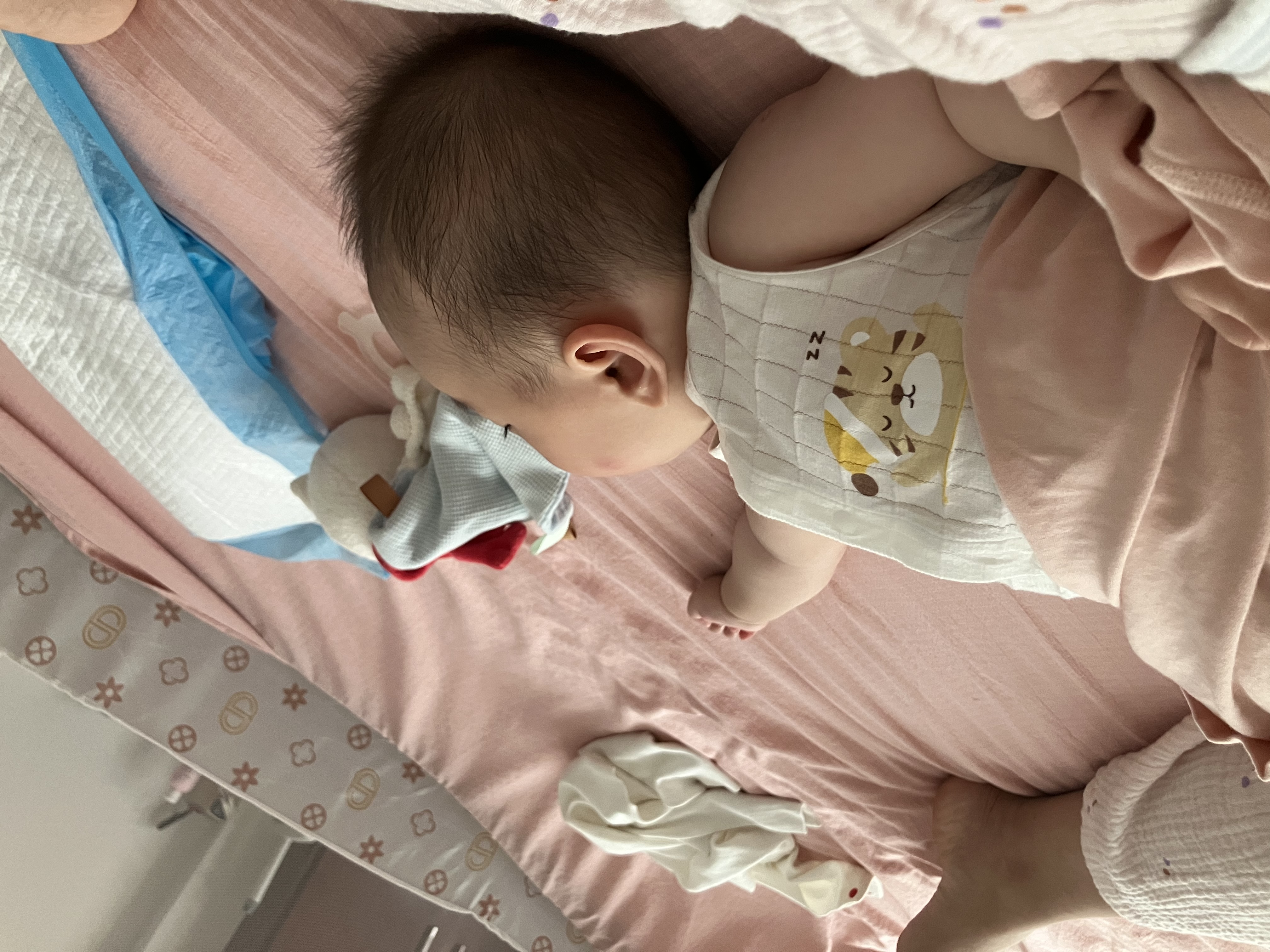 欢喜小熊婴儿包屁衣纯棉背心打底哈衣爬服宝宝无袖连体衣2件装 实拍图