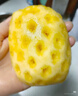 广东徐闻香水菠萝新鲜水果生鲜热带孕妇水果整箱包邮 1个装 单果1.3-1.5斤 实拍图