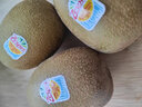 佳沛（zespri）新西兰金果巨大果22粒原箱单果146-175g 端午礼物水果礼盒 猕猴桃 实拍图