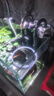 森森耀蓝鱼缸壁挂式过滤器外置小型过滤桶净水过滤循环系统YBG-300 实拍图