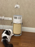 霍尼韦尔（Honeywell）宠物空气净化器吸猫毛除过敏源猫猫搭子 猫毛净化器杀菌消毒除异味KJ360F-C22W 实拍图