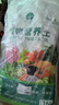 漫生活16L进口营养土通用型 种菜土养花土进口泥炭土椰糠花卉有机土壤 实拍图