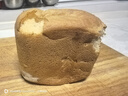 东菱烤面包机家用和面机全自动揉面制肉松吐司酸奶泡菜发酵多功能预约早餐机器 价保618 DL-1352 棉云白（独立酵母盒） 实拍图