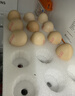 圣迪乐村OMEGA-3营养蛋鲜鸡蛋含DHA20枚礼盒装净重2斤 牛奶搭档源头直发 实拍图