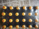 可口可乐零度 Zero 无糖汽水碳酸饮料 300ml*24瓶 整箱装新老包装随机发 实拍图