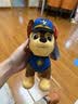 汪汪队立大功（PAW PATROL）毛绒玩具陪睡玩偶经典款小砾中号坐姿公仔男女孩儿童生日礼物 实拍图