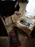 麦富迪狗粮 无谷牛肉双拼狗粮成犬中大型犬专用强健骨骼15kg/30斤 实拍图