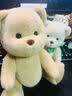莉娜熊（TeddyTales）小熊玩偶毛绒玩具熊泰迪手作熊安抚娃娃送礼送人毕业礼物送女生 奶白色（明星款） 中号站姿约30cm 实拍图
