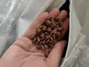 LEGENDSANDY蓝氏狗粮通用金毛拉布拉多泰迪鸡肉三文鱼金枪鱼15kg【囤货装】 实拍图