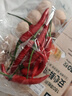 小米椒约50g 实拍图