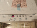 美的（Midea）【价保618】波轮洗衣机全自动 3KG 迷你内衣婴儿洗衣机 健康除螨 MB30V21EPLUS 以旧换新 京东自营 实拍图
