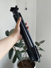 曼富图（Manfrotto）三脚架 MKELESLLCBK-BH青影扳锁碳纤维带球形云台单反微单相机摄影摄像旅行三脚支架 实拍图