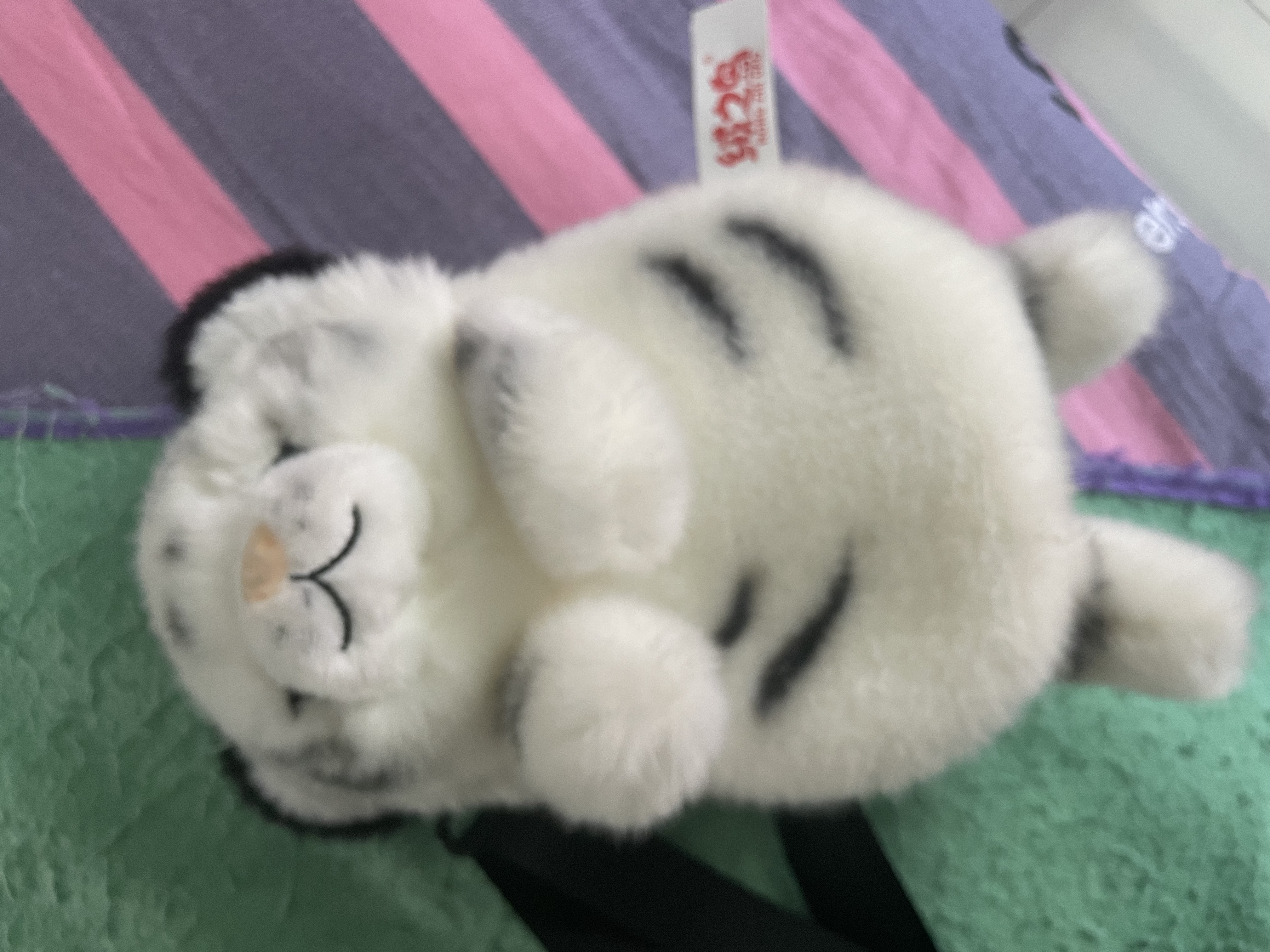 卡特兔学步鞋婴儿机能鞋春夏童鞋入园室内鞋宝宝幼儿园小白鞋子X3CE026 实拍图
