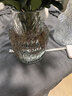 花瓶插花水养玻璃高颜值手工大口径花瓶客厅卧室摆件 大肚水波纹花瓶1个装 实拍图