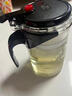 飘逸壶泡茶壶耐热高温玻璃沏茶过滤内胆冲茶器家用茶具套装 飘逸杯500mL1个 实拍图