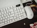 雷蛇（Razer）炼狱蝰蛇标准版有线鼠标 人体工学  电竞游戏 右手通用型 吃鸡/LOL/CS GO游戏鼠标 白色 实拍图