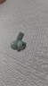漫步者（EDIFIER）X2 Evo 真无线立体声蓝牙耳机 蓝牙6.0 翻译耳机 适用苹果华为小米OPPO手机 青木绿 毕业礼物 实拍图