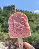 圣伯顿（Shengbodun）led灯盘吸顶灯替换灯芯灯板圆形磁吸模组灯条灯管 24瓦白光 实拍图