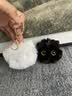 虎实小宝腮红猫猫球公仔可爱毛绒玩偶书包背包小挂件钥匙扣女包包精致挂饰 实拍图