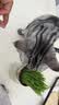 约克先生宠物零食猫咪磨牙化毛膏排毛球粒营养即食鲜鸡肉冻干猫草棒50g 实拍图