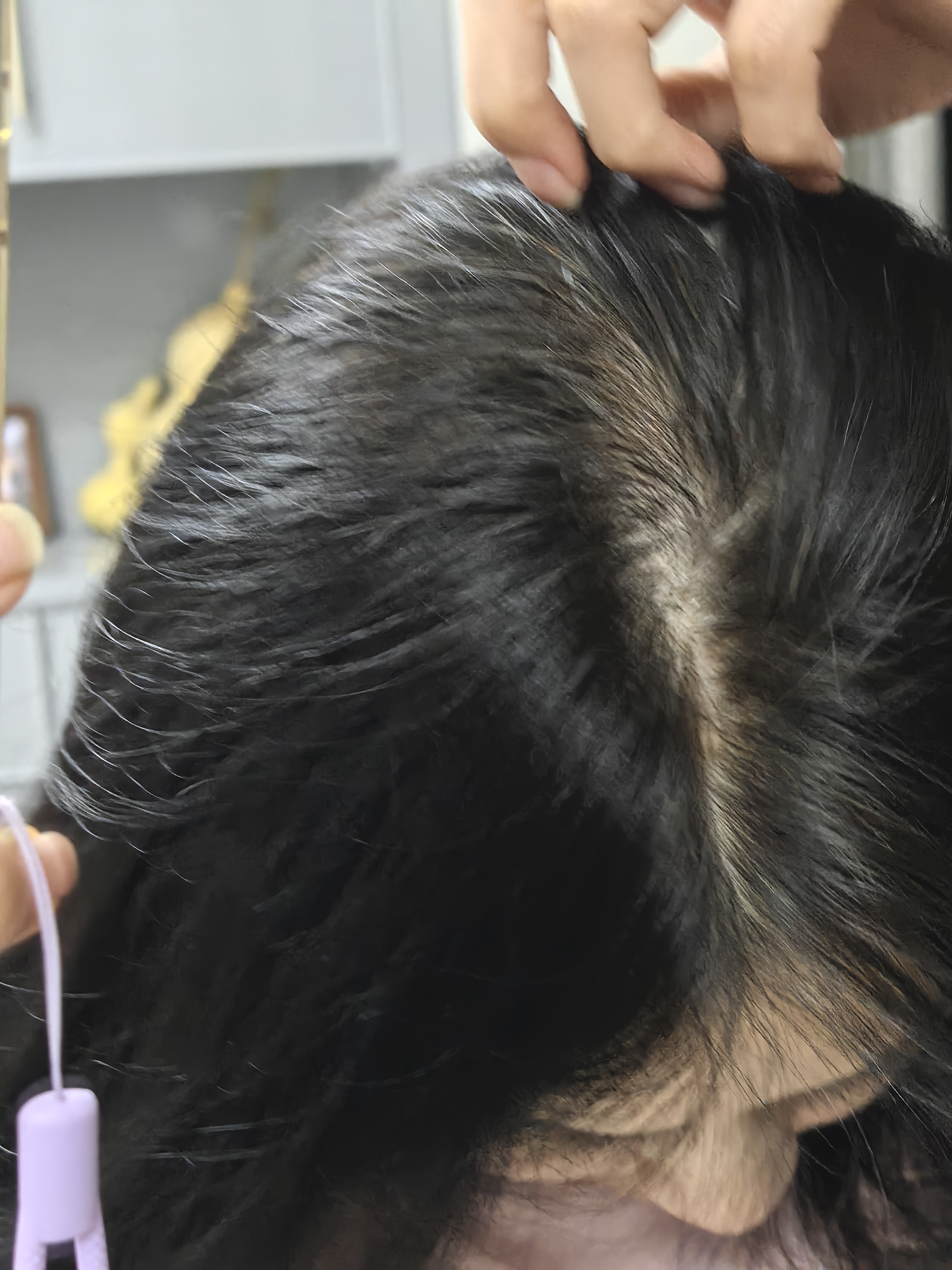 三井（TRI-WELL）染发剂女士盖白发纯棕黑色不沾头皮植物男士泡泡染发膏 实拍图