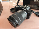 佳能（Canon）RF全画幅微单镜头 定焦镜头 适R50 V R7 R8 RP R6二代 R5 R10 R3 R100微单相机 RF 85mm F2 IS STM中远摄微距定焦 官方标配【不含多种滤镜 实拍图