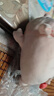 名创优品（MINISO）小猪B-BO弹力超柔趴姿公仔毛绒玩偶儿童玩具抱枕靠枕生日礼物女 实拍图