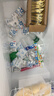 澳柯玛（AUCMA）307升单温冷柜家用减霜大冰柜 冷藏柜冷冻柜转换卧式冰箱雪糕 柜一级能效BC/BD-307HNE【价保618】 实拍图