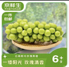京鲜生 云南阳光玫瑰青提 净重1.8-2.2斤 单果6g+ 葡萄提子源头直发 实拍图
