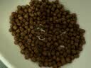 福摩（Fromm）无谷全家禽猎鸟配方猫粮 10磅（4.54kg）辅助磨牙 适口性好 实拍图