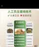 京严颈椎热敷包肩颈电加热艾草肩膀发热专用肩周炎艾灸颈部护披肩神器 艾绒玫瑰内胆【艾灸云朵护肩】多穴位热敷HJ-A 九挡控温丨肩颈理疗丨精选陈年艾绒丨智能定时 实拍图