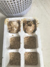 耕果妙新鲜谷物土鸡蛋20枚初生蛋1.6斤 农家鲜鸡蛋包邮 源头直发 实拍图