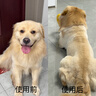 先锋（SINGFUN）宠物剃毛器狗狗电推剪理发器猫咪剃毛神器宠物美容剪刀大型犬宠物店专用电推子【安心购】 实拍图