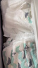 碧芭宝贝盛夏光年Pro拉拉裤XXXXL码24片(≥20kg)学步裤尿不湿夏天超薄透气 实拍图