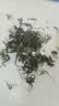 小叶苦丁茶特级2026嫩芽正宗贵州苦丁新茶叶降i血压血糖泡水喝 【熬夜办公党常备 温和清润】 125g*1罐 实拍图